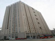 乐天世纪公寓工程，获得山东省最高质量奖“泰山杯”