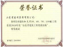 和天下3#、4#、7#、13#楼获2018年度“山东省建筑工程优质结构”